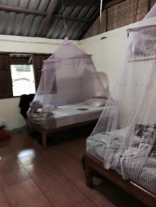 Standard room with mosquito net over bed